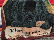 Превью фото № 185981