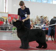 Превью фото № 185983