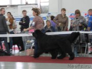 Превью фото № 185986