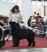 Превью фото № 185989