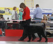 Превью фото № 186018