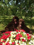 Превью фото № 186019