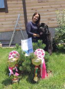 Превью фото № 186067