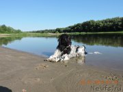 Превью фото № 186116