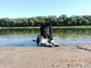 Превью фото № 186117