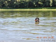 Превью фото № 186118