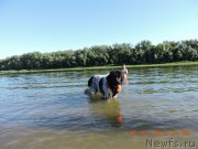 Превью фото № 186123