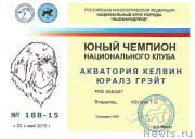 Превью фото № 186144