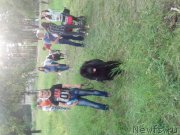 Превью фото № 186186