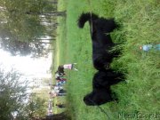 Превью фото № 186187