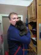 Превью фото № 186237