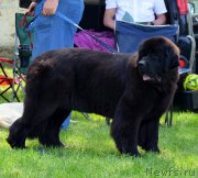 Превью фото № 186280