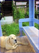 Превью фото № 186333