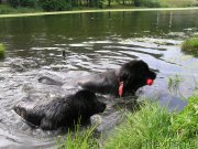 Превью фото № 186341