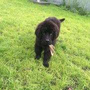 Превью фото № 186345