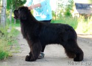 Превью фото № 186369