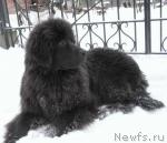 Превью фото № 1864