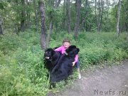 Превью фото № 186411