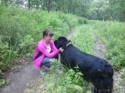 Превью фото № 186412