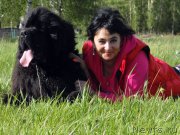 Превью фото № 186422