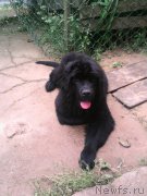 Превью фото № 186533