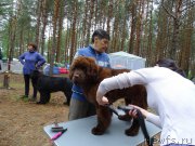 Превью фото № 186539