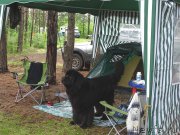 Превью фото № 186543