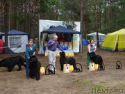 Превью фото № 186546