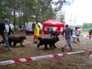 Превью фото № 186547