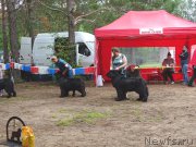 Превью фото № 186548