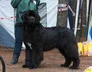 Превью фото № 186556