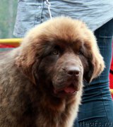 Превью фото № 186558