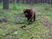 Превью фото № 186573