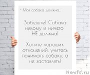 Превью фото № 186577