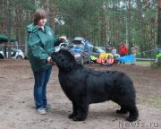 Превью фото № 186582