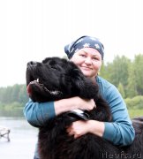 Превью фото № 186593