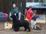 Превью фото № 186599