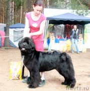 Превью фото № 186618