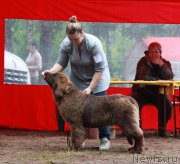 Превью фото № 186620