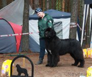 Превью фото № 186623