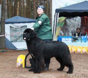 Превью фото № 186624