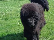 Превью фото № 186674