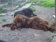 Превью фото № 186679