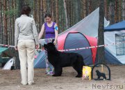 Превью фото № 186687