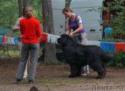 Превью фото № 186690