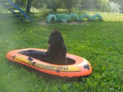 Превью фото № 186694