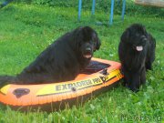 Превью фото № 186696