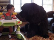 Превью фото № 186698