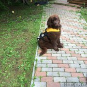 Превью фото № 186700