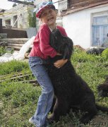 Превью фото № 186705